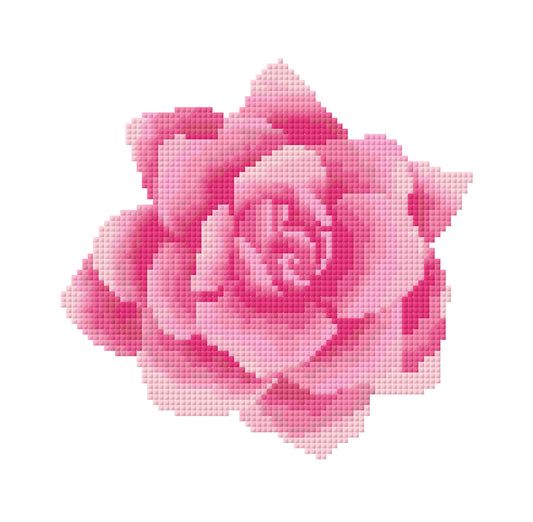 Rose in Bloom Digital Chart
